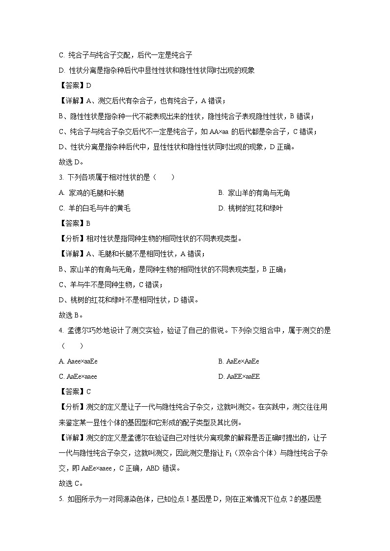 广东实验中学2024-2025学年高一下学期期中考试生物试卷（解析版）第2页