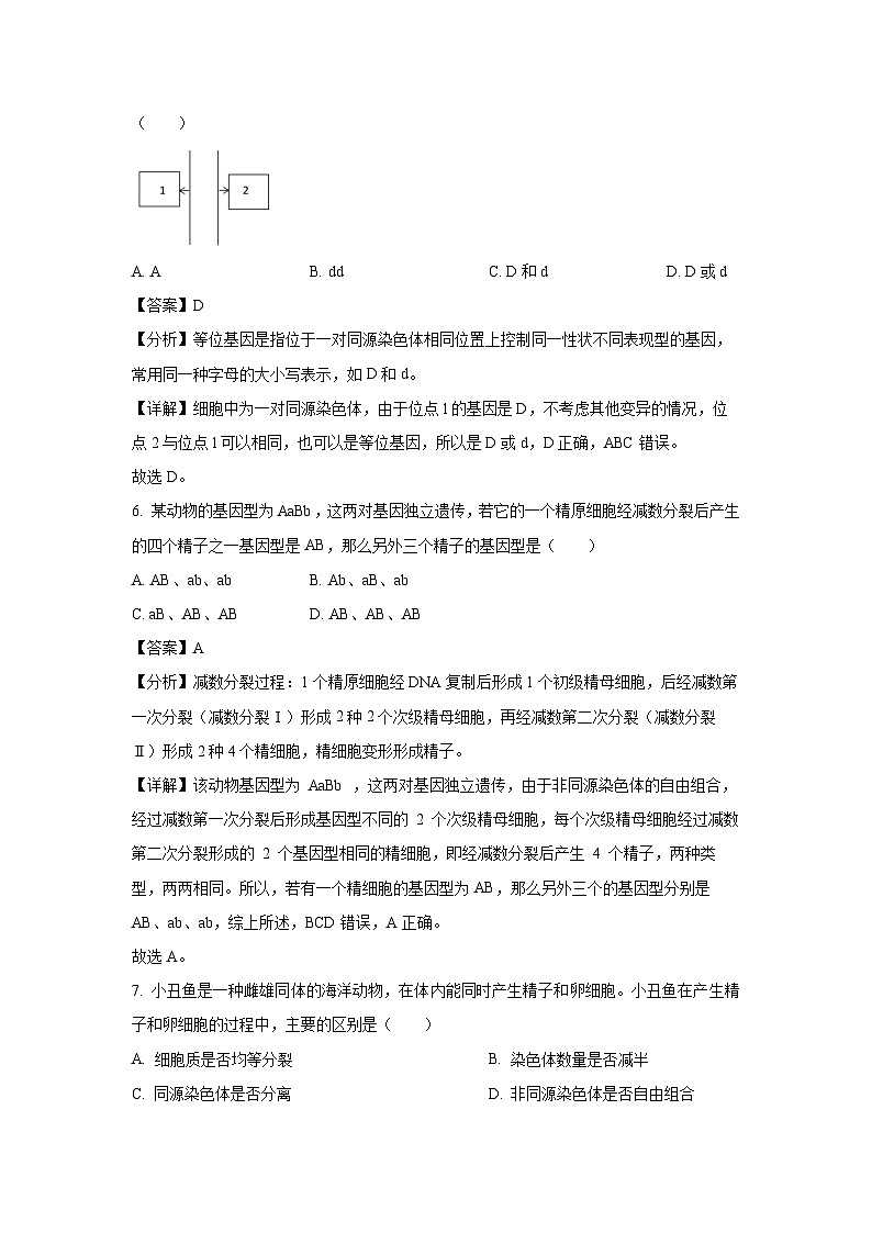 广东实验中学2024-2025学年高一下学期期中考试生物试卷（解析版）第3页