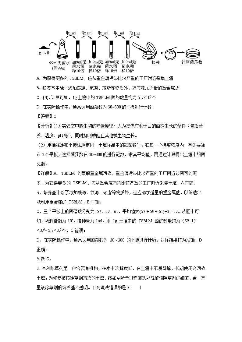 山东省青岛市2024-2025学年高二下学期期中考试生物试卷（解析版）第2页