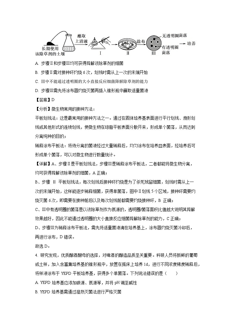 山东省青岛市2024-2025学年高二下学期期中考试生物试卷（解析版）第3页