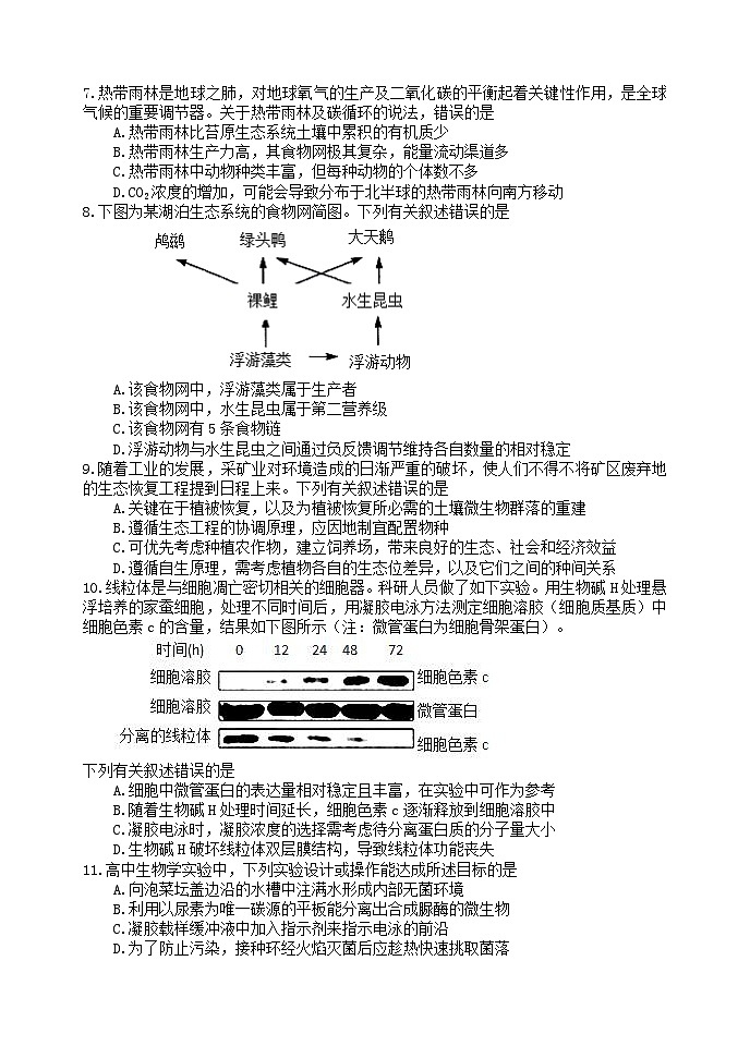 龙东十校联盟2024-2025学年高二下学期期末考试 生物.docx第2页