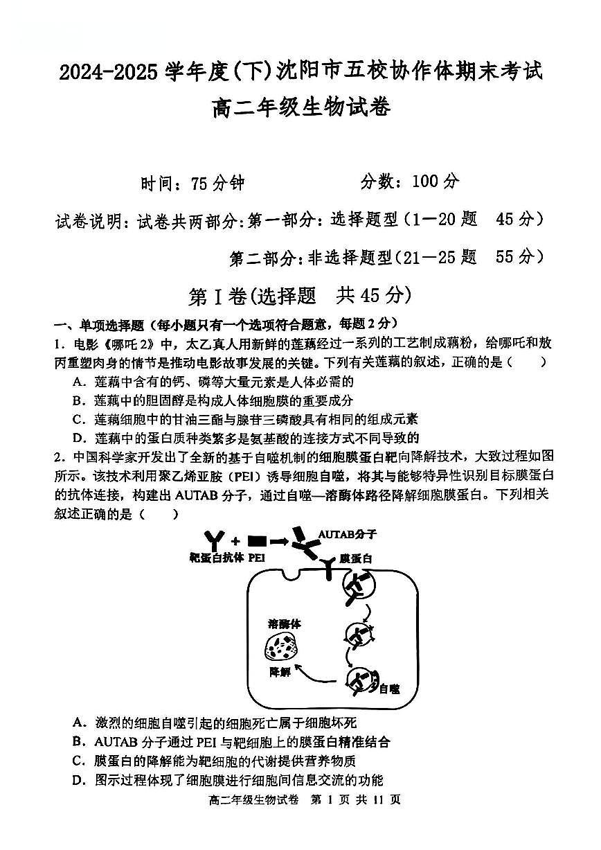 辽宁省沈阳市五校协作体2024-2025学年高二下学期期末考试生物试题（PDF版附答案）第1页