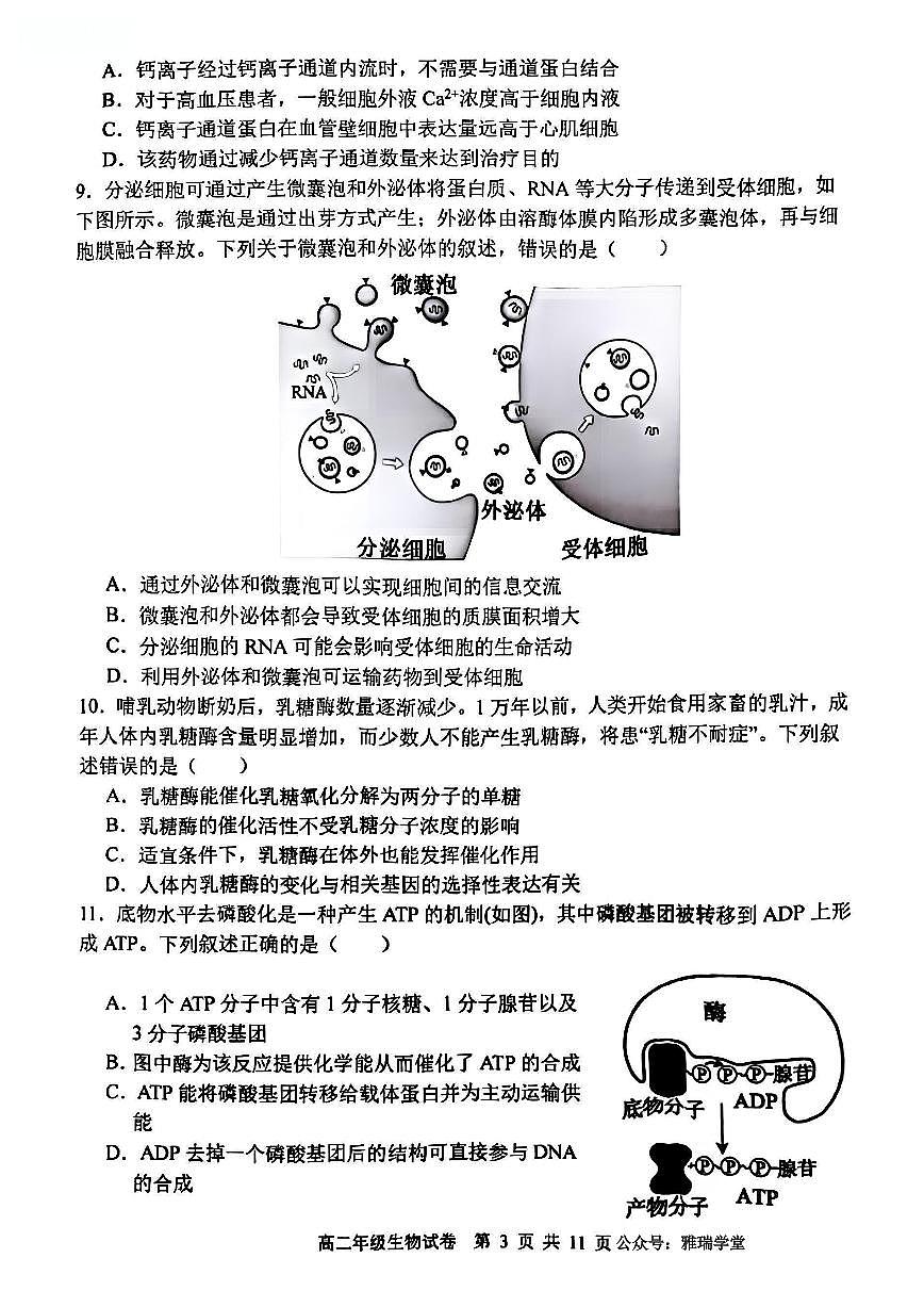 辽宁省沈阳市五校协作体2024-2025学年高二下学期期末考试生物试题（PDF版附答案）第3页