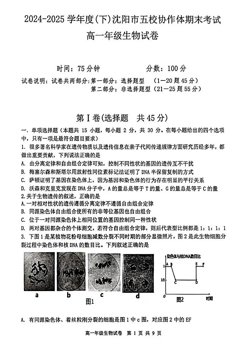 辽宁省沈阳市五校协作体2024-2025学年高一下学期期末考试生物试题（PDF版附答案）第1页