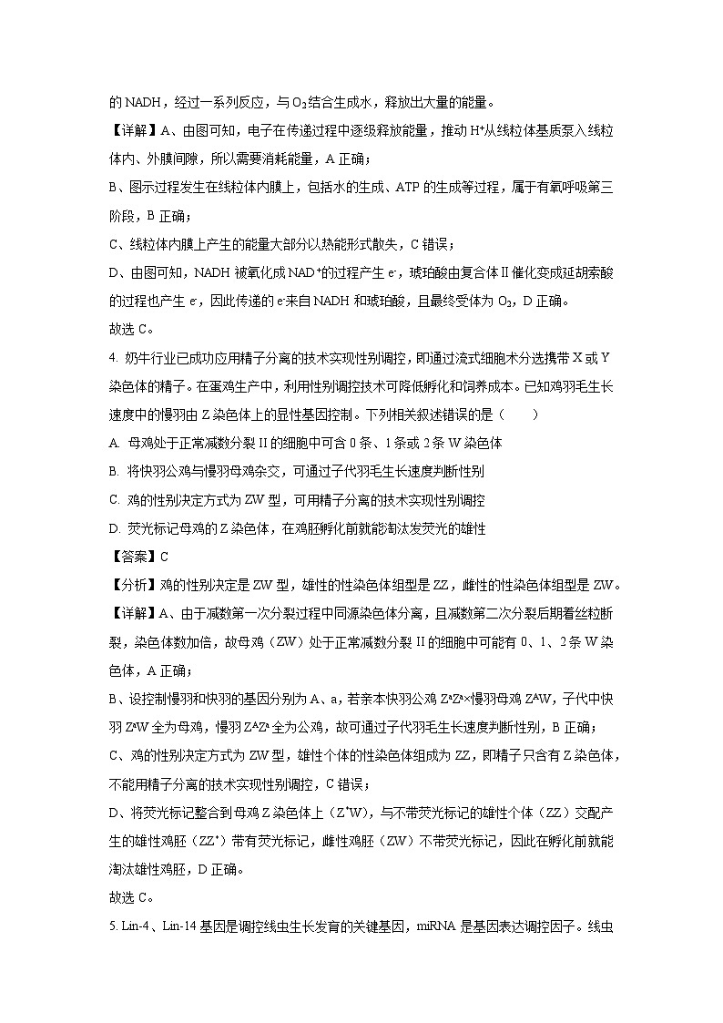 河南省部分学校2025届高三下4月大联考生物试卷（解析版）第3页