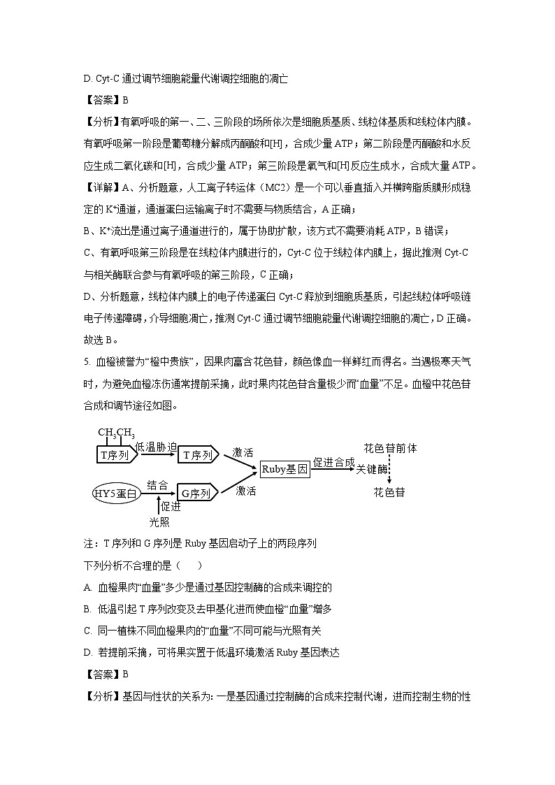 辽宁省沈阳市高三下5月质量检测生物试卷（解析版）第3页