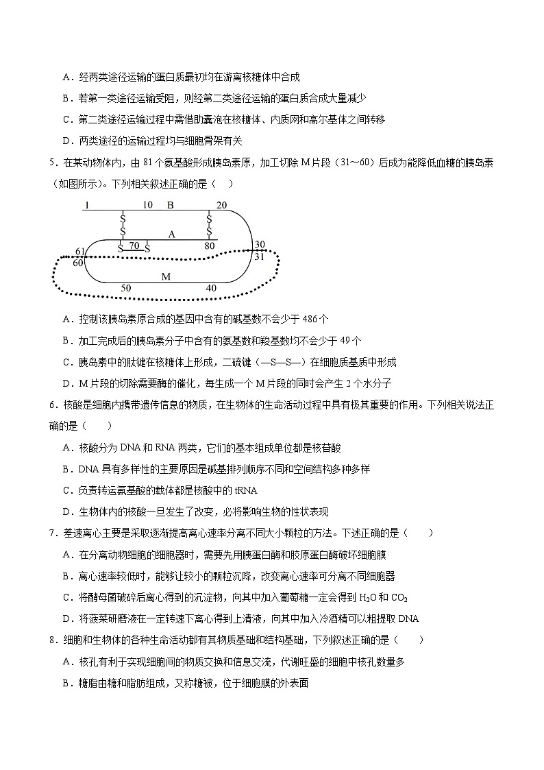 山东省滕州市第一中学2024-2025学年高二下学期6月单元过关考试生物试卷（Word版附答案）第2页