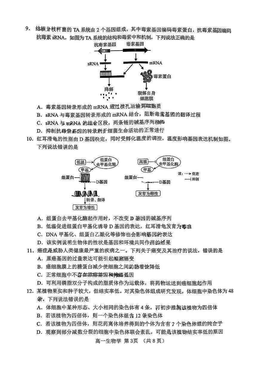 山东省淄博市2024-2025学年高一下学期期末考试生物试卷（PDF版附答案）第3页