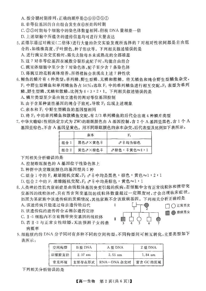 山西省临汾部分学校2024-2025学年高一下学期期末联考生物试卷（PDF版附解析）第2页