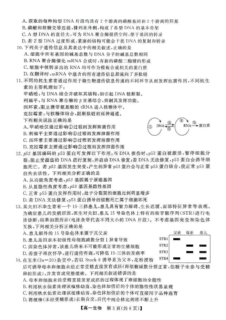 山西省临汾部分学校2024-2025学年高一下学期期末联考生物试卷（PDF版附解析）第3页