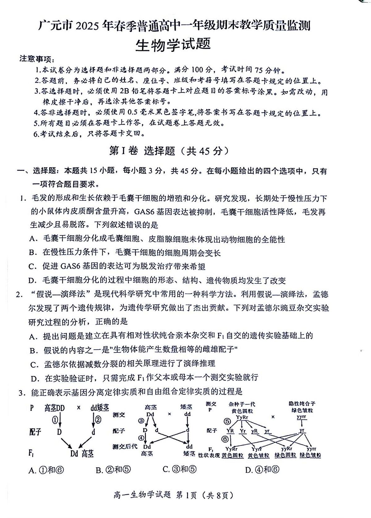 四川省广元市普通高中2024-2025学年高一下学期期末考试生物试卷（PDF版附答案）第1页