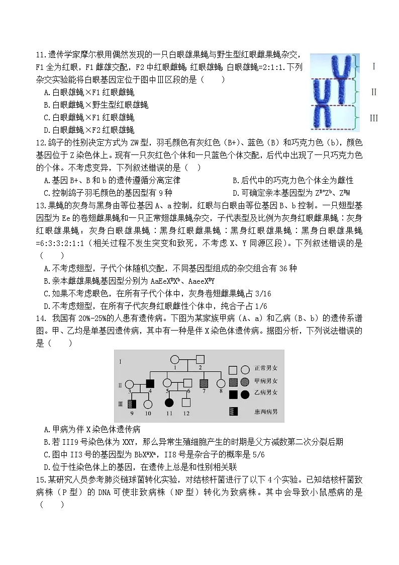 四川省眉山市县级学校2024-2025学年高一下学期期末联考生物试卷（Word版附答案）第3页