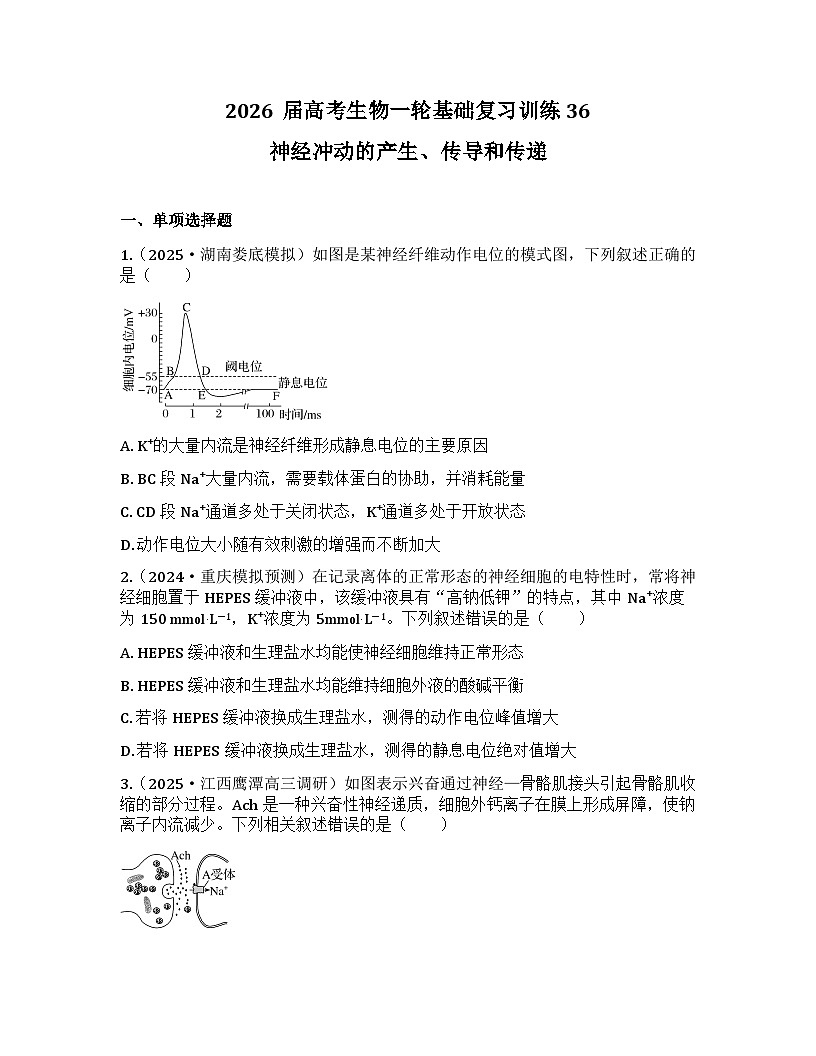 2026届高考生物一轮基础复习训练36 神经冲动的产生、传导和传递第1页