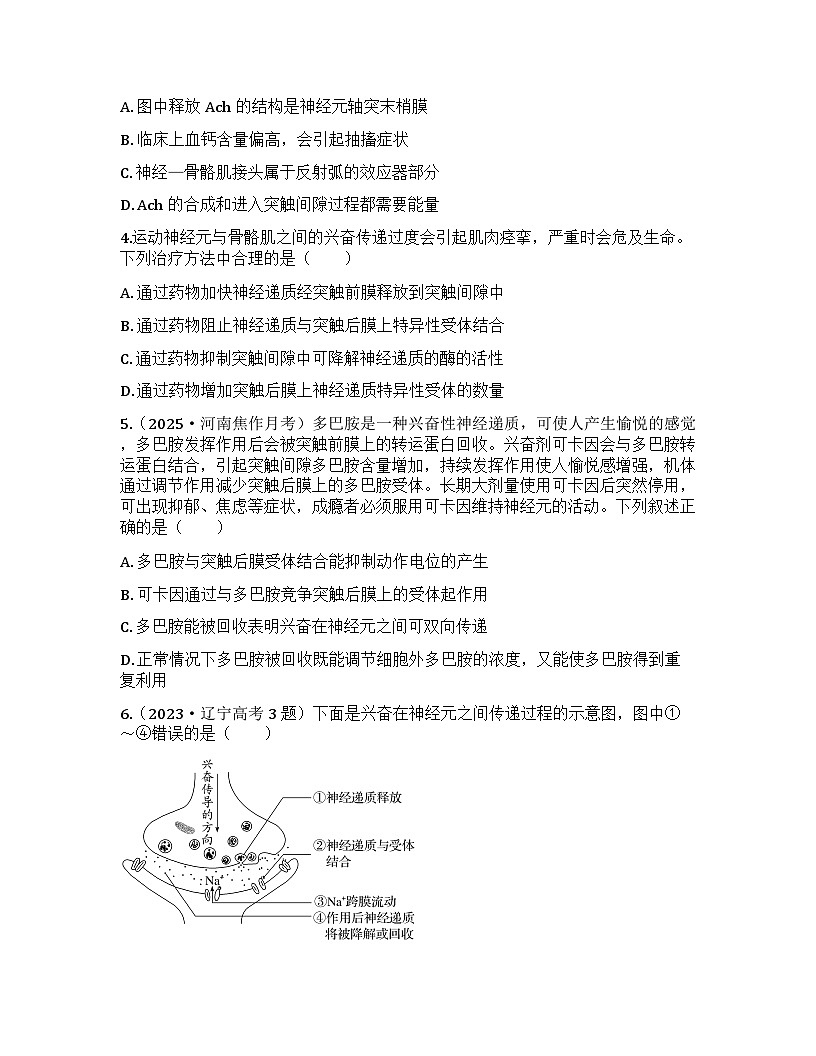 2026届高考生物一轮基础复习训练36 神经冲动的产生、传导和传递第2页