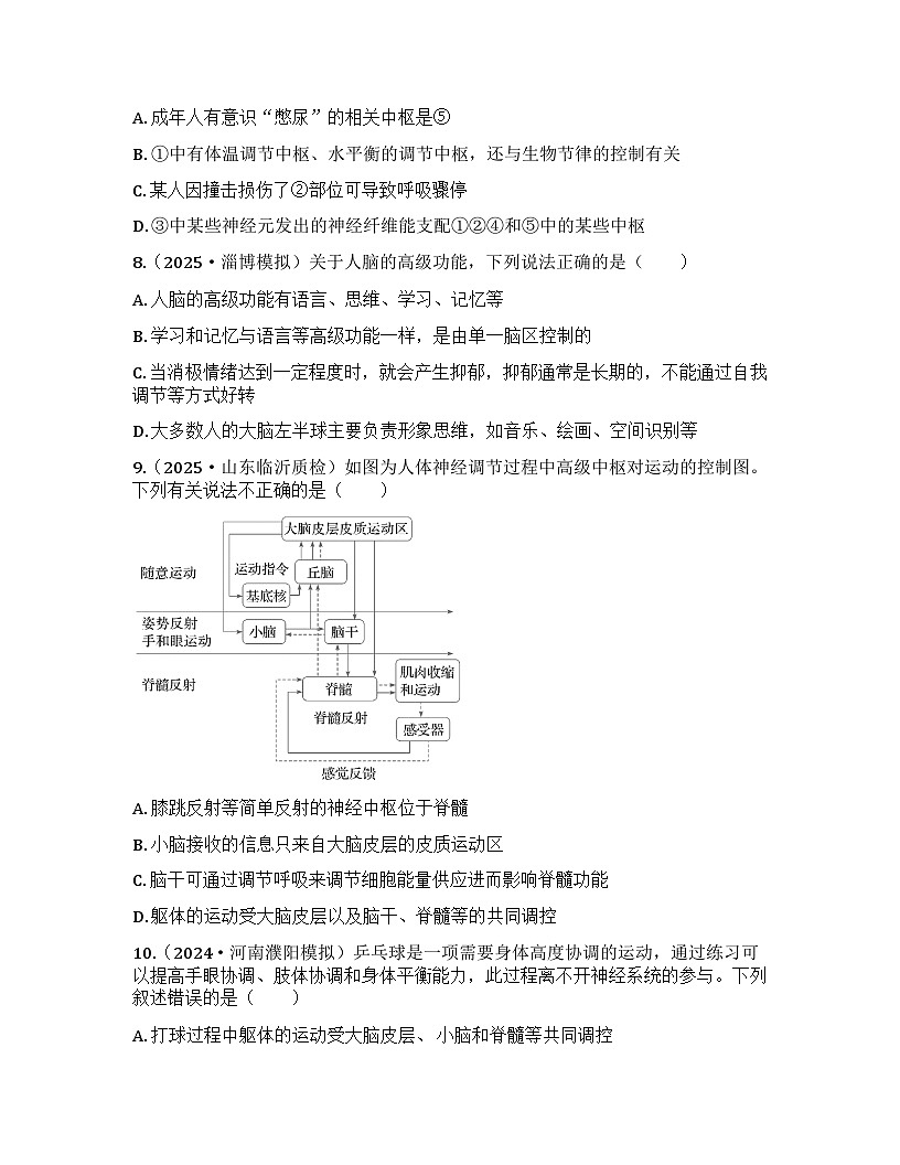 2026届高考生物一轮基础复习训练37 神经系统的分级调节及人脑的高级功能第3页