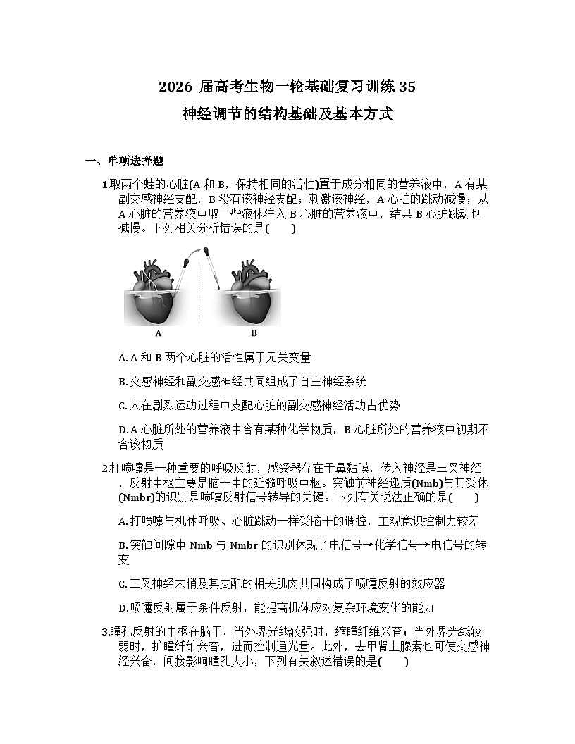 2026届高考生物一轮基础复习训练35 神经调节的结构基础及基本方式第1页