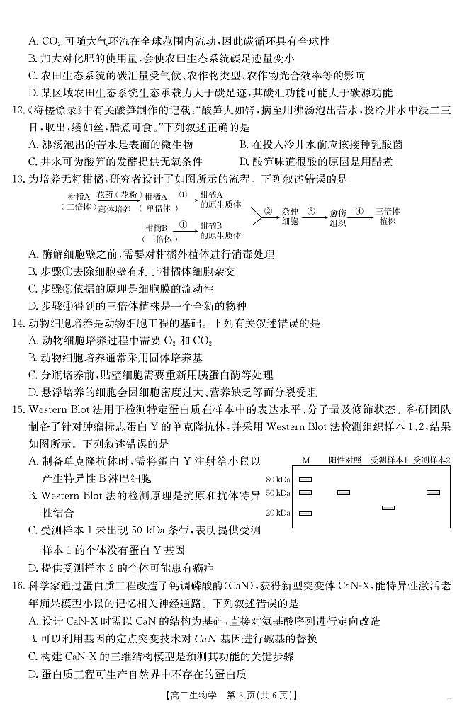 甘肃省天水市2024-2025学年高二下学期7月阶段性检测 生物第3页