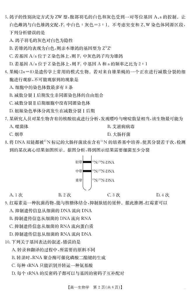 甘肃省天水市2024-2025学年高一下学期期末阶段性检测 生物学第2页