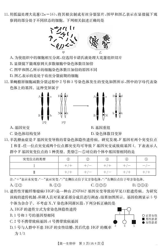 甘肃省天水市2024-2025学年高一下学期期末阶段性检测 生物学第3页