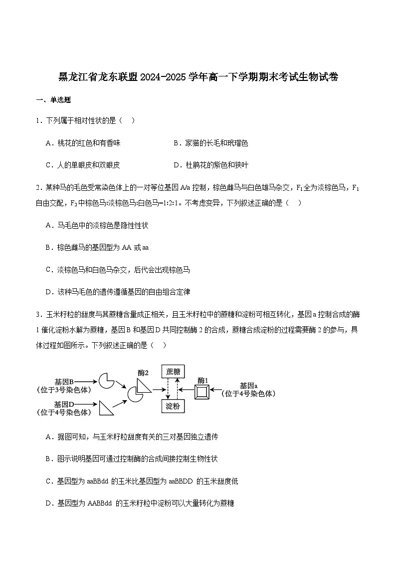 黑龙江省龙东联盟2024-2025学年高一下学期期末考试生物试卷（含答案）第1页