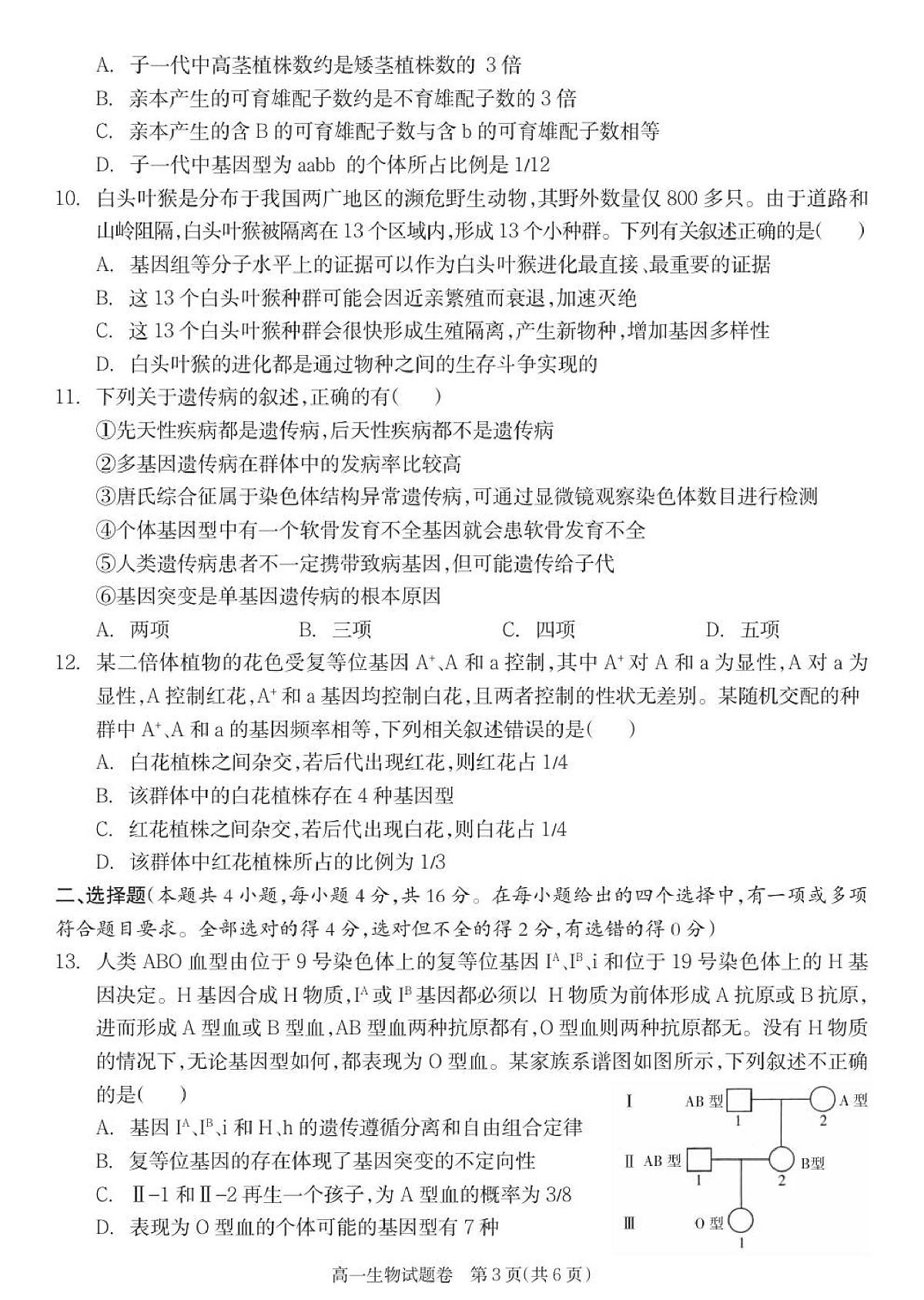 湖南省邵阳市新邵县2024-2025学年高一下学期期末考试生物试题第3页