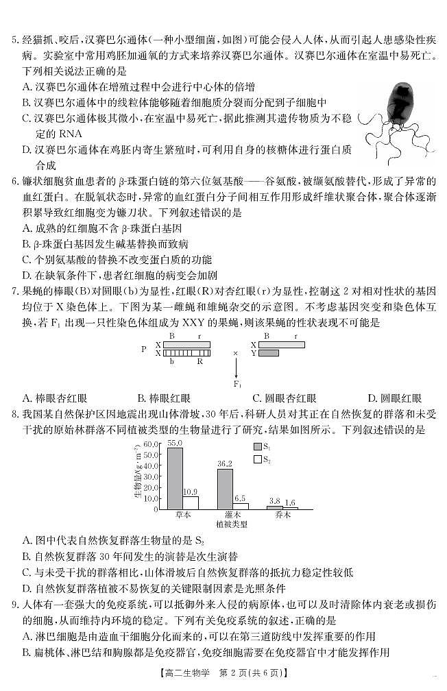 云南省曲靖市陆良县2024-2025学年高二下学期期末考试 生物学第2页
