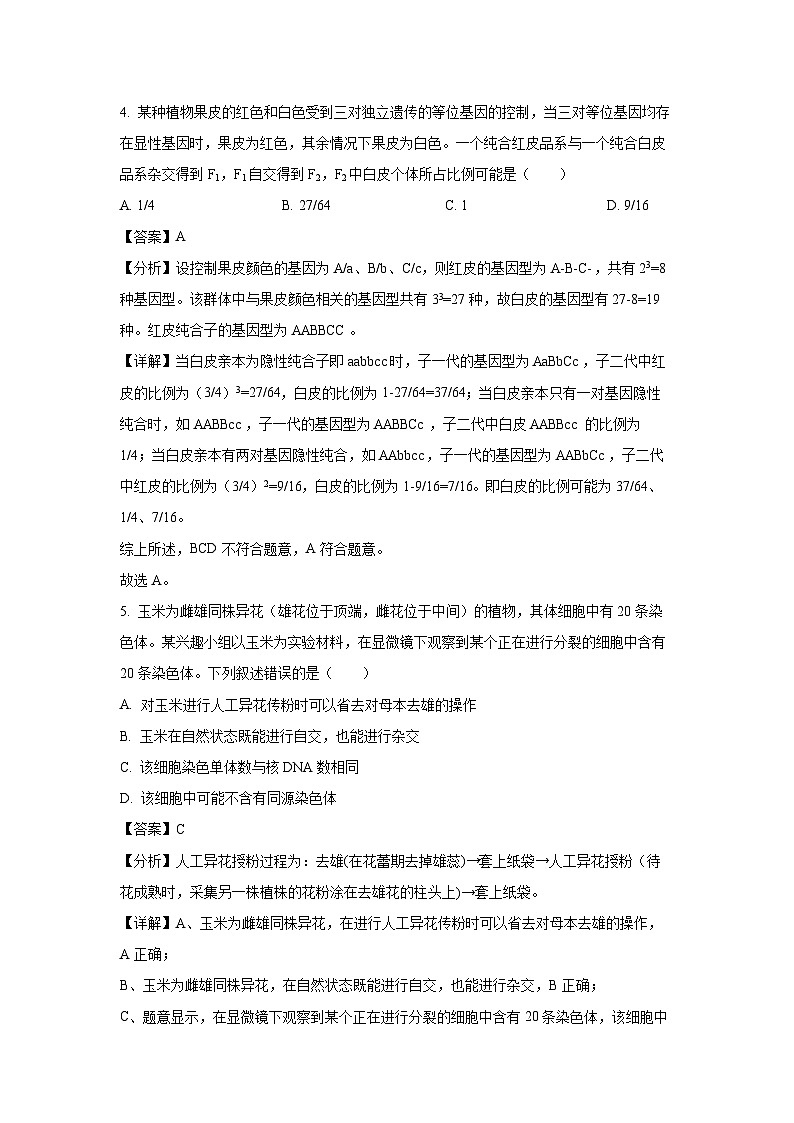 2024-2025学年福建省泉州市高一下学期期中考试生物试题（解析版）第3页
