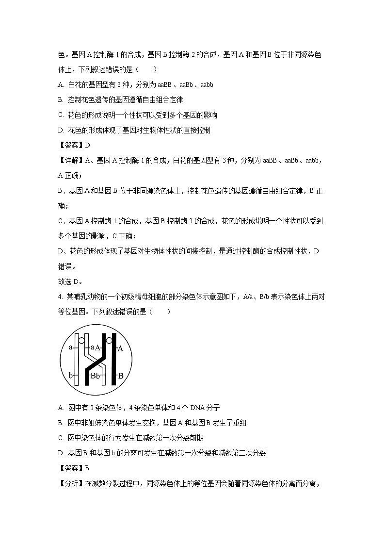 2024-2025学年广东省东莞市五校联考高一下学期期中生物试卷（解析版）第2页