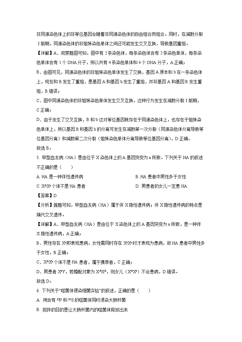 2024-2025学年广东省东莞市五校联考高一下学期期中生物试卷（解析版）第3页
