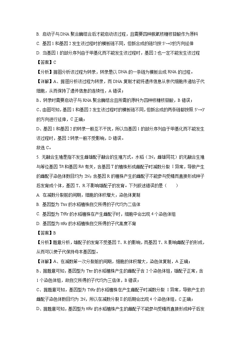 河北省邯郸市2025届高三下学期模拟预测生物试卷（解析版）第3页