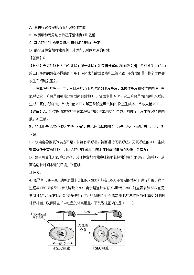 贵州省2025届高三下学期模拟（三）生物试卷（解析版）第3页