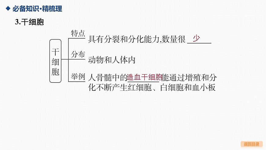 05-第13讲 细胞的分化、衰老、死亡第8页
