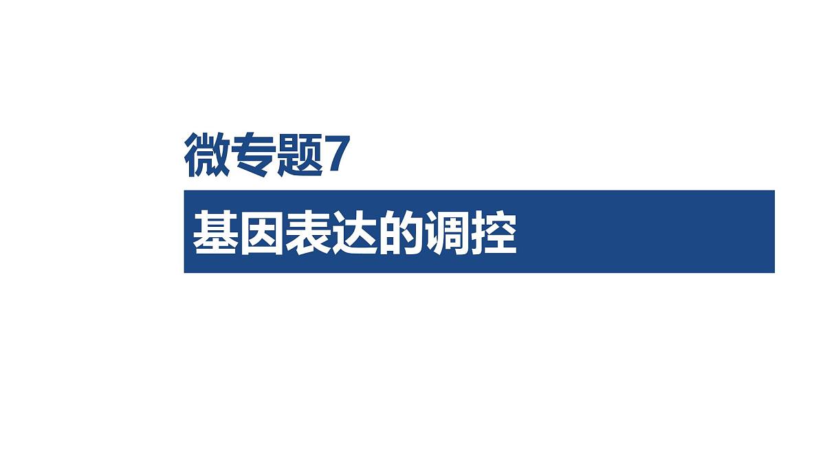 微专题7 基因表达的调控第1页