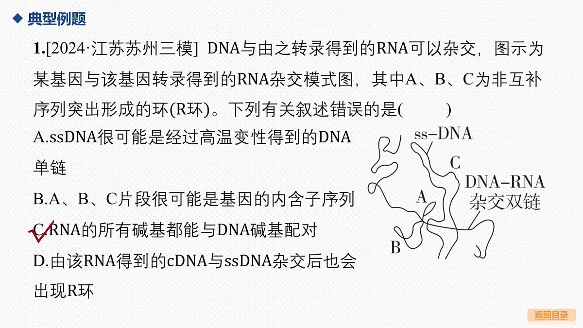微专题7 基因表达的调控第6页