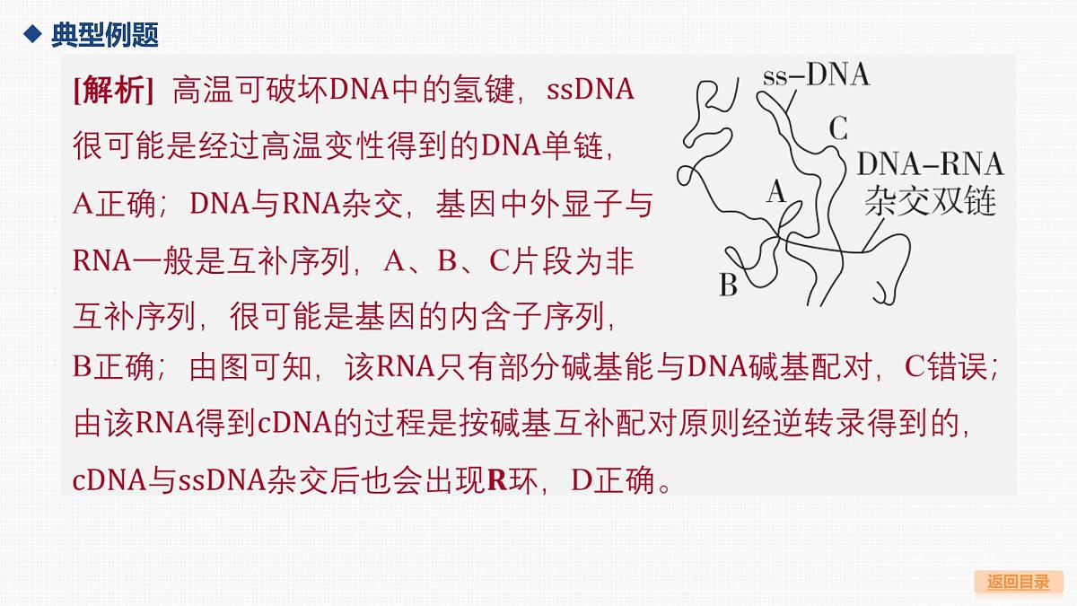 微专题7 基因表达的调控第7页