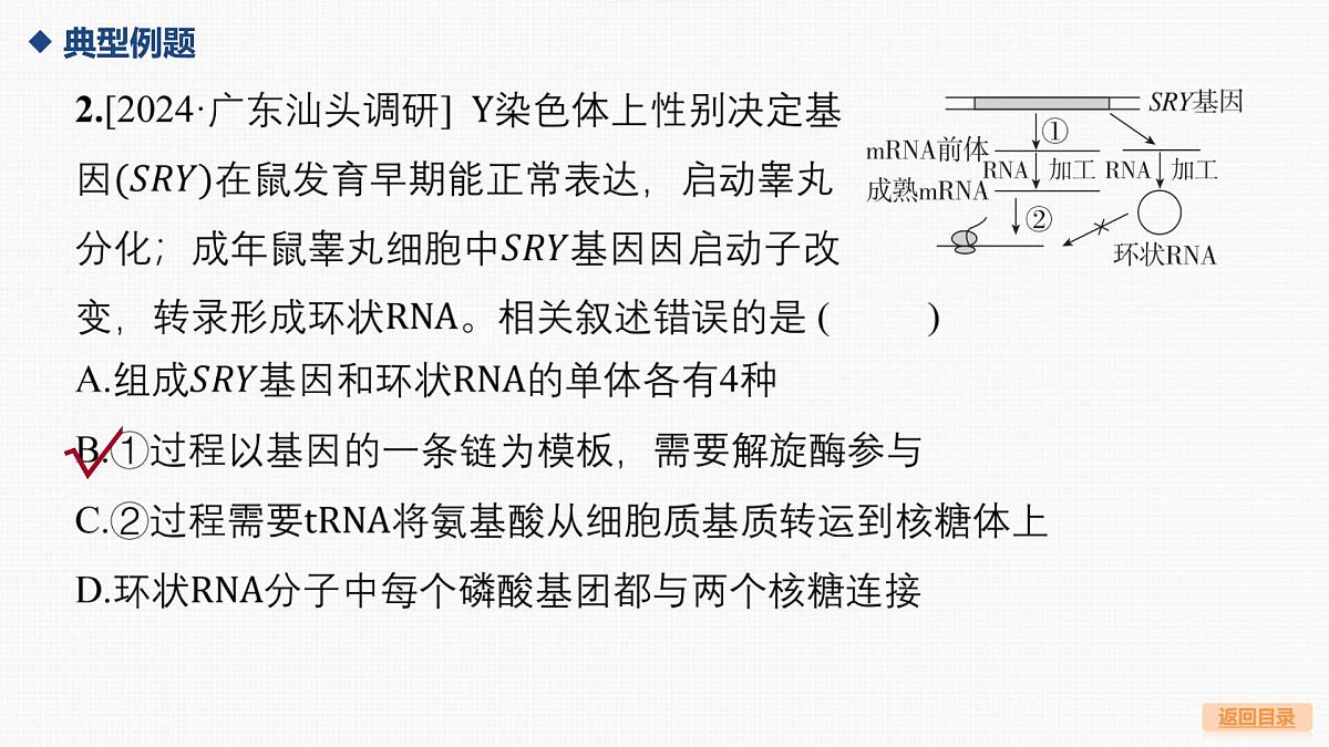 微专题7 基因表达的调控第8页