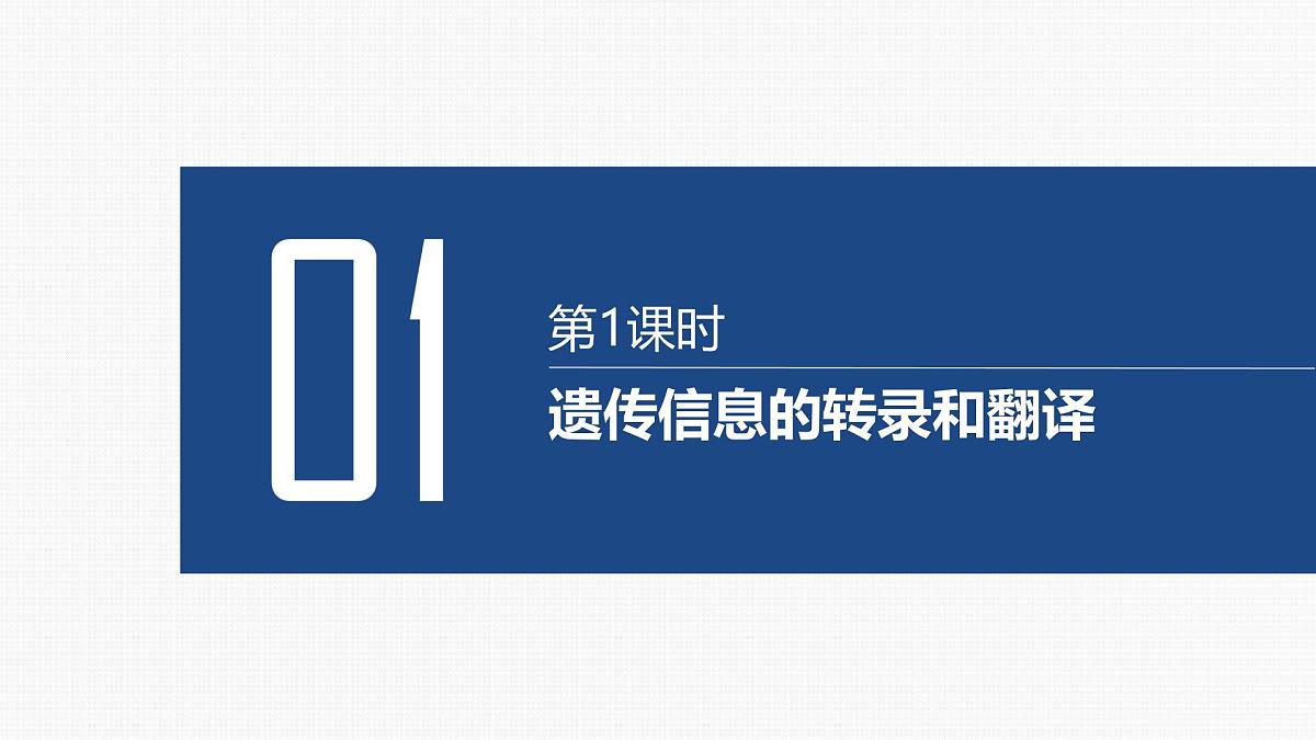 第19讲 基因的表达-第1课时 遗传信息的转录和翻译第3页