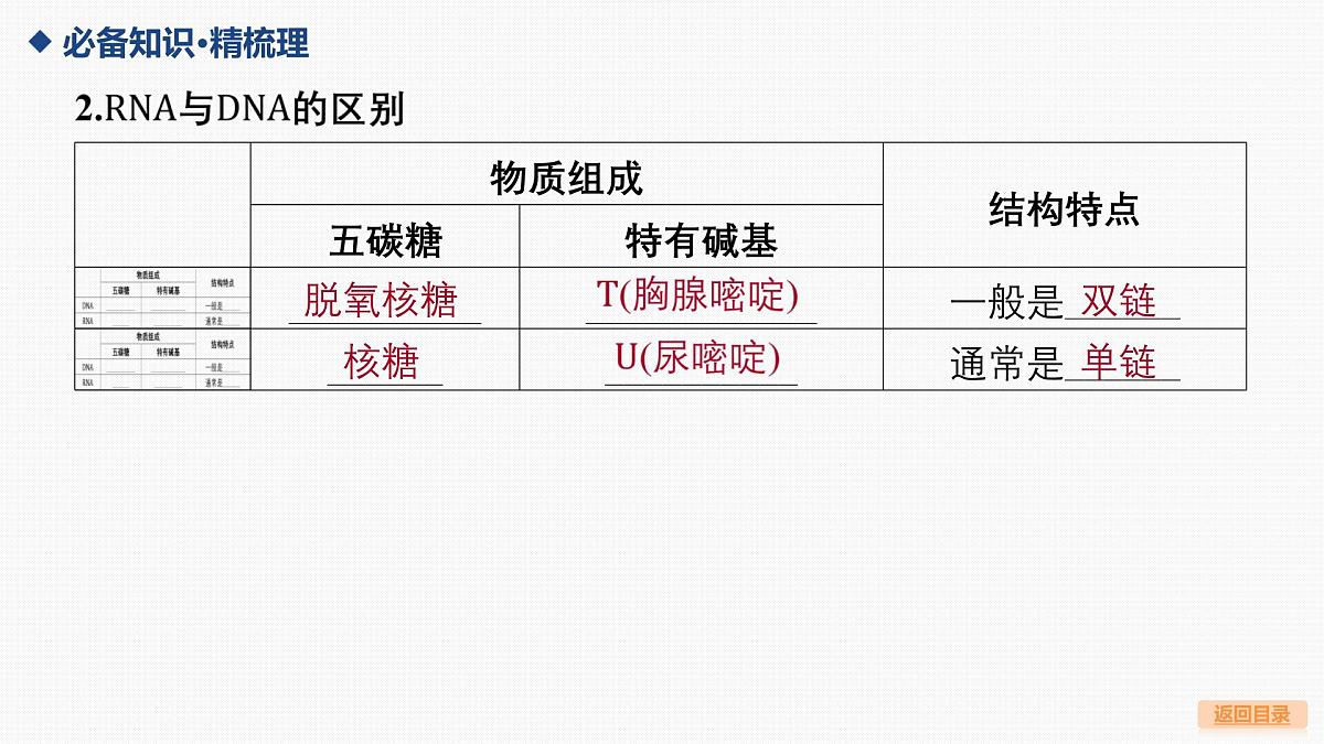 第19讲 基因的表达-第1课时 遗传信息的转录和翻译第6页