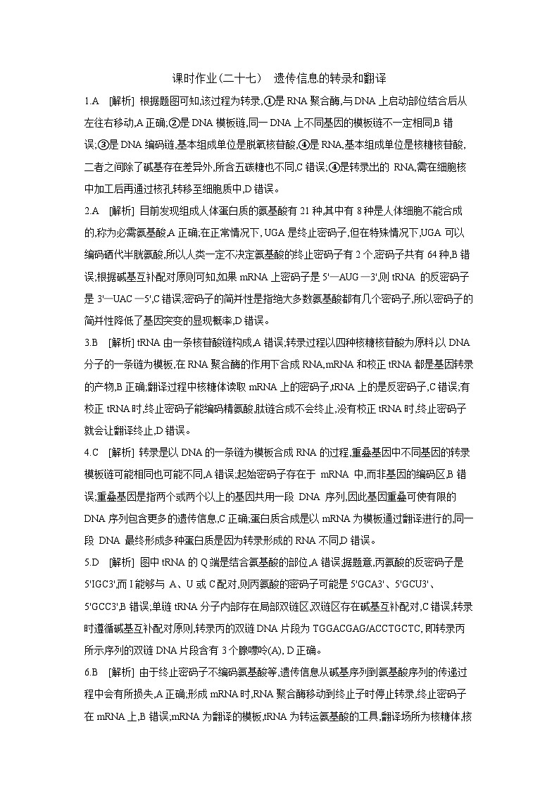 29 课时作业(二十七)　遗传信息的转录和翻译 【答案】【作业手册】第1页