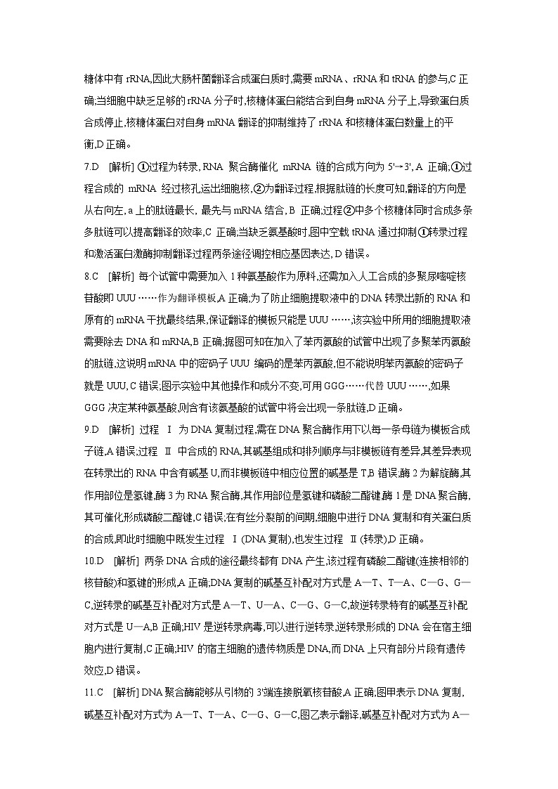 29 课时作业(二十七)　遗传信息的转录和翻译 【答案】【作业手册】第2页