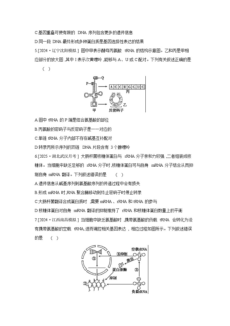 29 课时作业(二十七)　遗传信息的转录和翻译 【正文】【作业手册】第2页