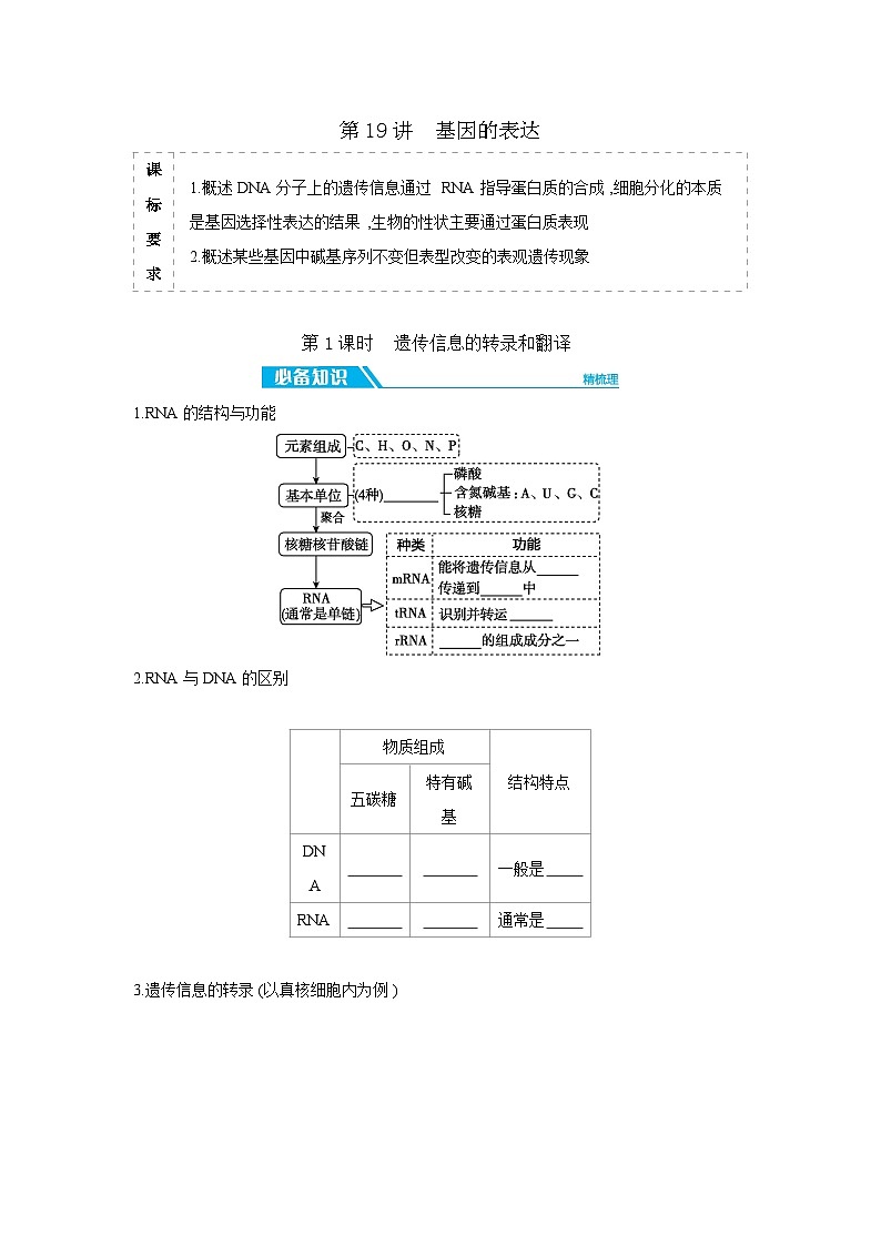 03 第19讲　第1课时　遗传信息的转录和翻译 【正文】【听课手册】第1页