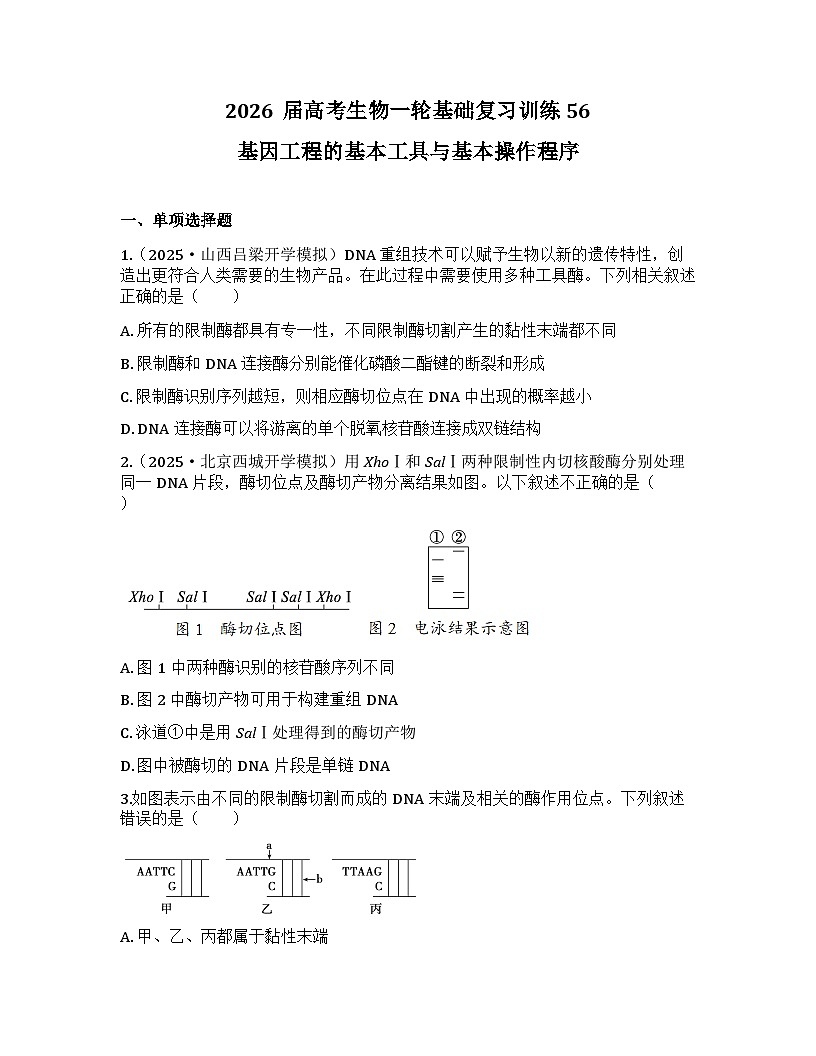2026届高考生物一轮基础复习训练56 基因工程的基本工具与基本操作程序第1页
