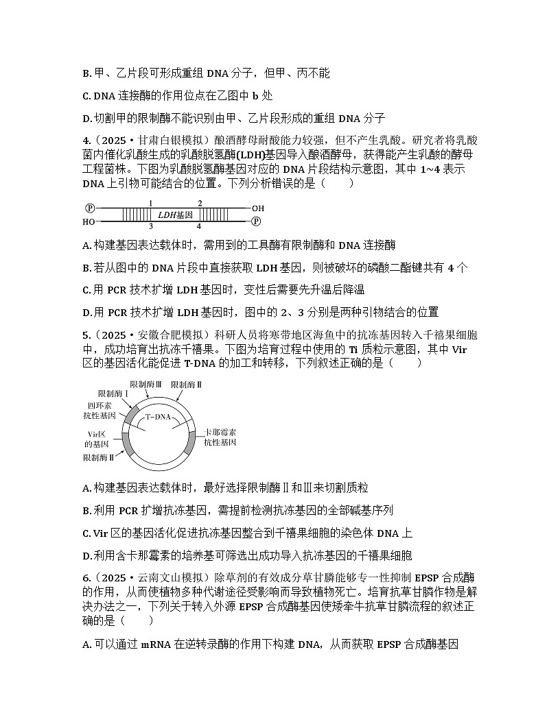 2026届高考生物一轮基础复习训练56 基因工程的基本工具与基本操作程序第2页