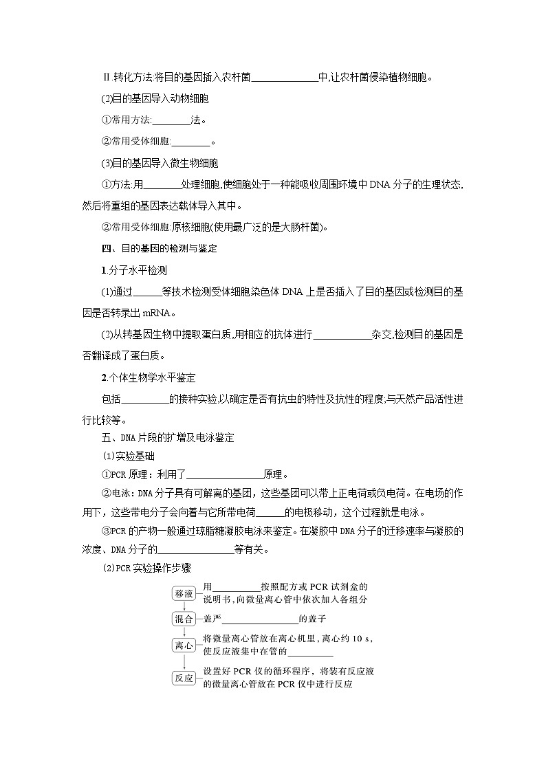 第3章 第2节基因工程的基本操作程序 学案-2024-2025学年高二下学期生物人教版选择性必修3第3页