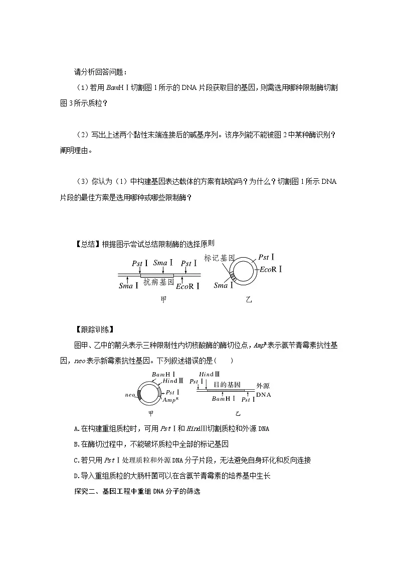 第3章 基因工程章末复习 学案-2024-2025学年高二下学期生物人教版选择性必修3第3页