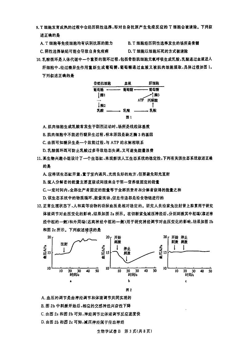 2025届广东省广州市高三年级上学期8月摸底考-生物试卷（含答案）第3页
