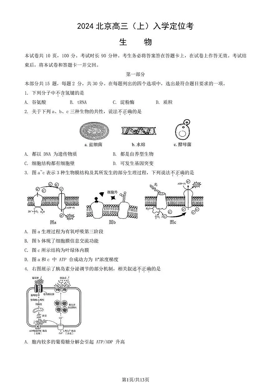 2024北京高三（上）入学定位考生物试卷 有答案第1页