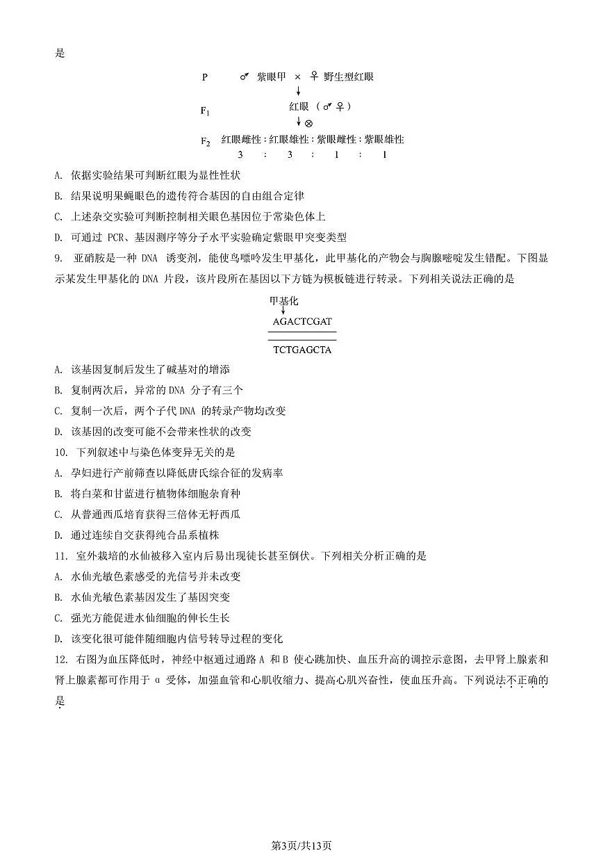2024北京高三（上）入学定位考生物试卷 有答案第3页