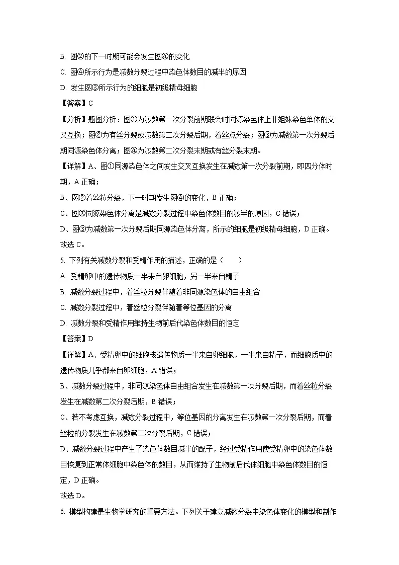 【生物】江苏省连云港市东海县高级中学2024-2025学年高一下学期5月月考试题（解析版）第3页